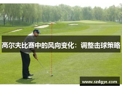 高尔夫比赛中的风向变化：调整击球策略