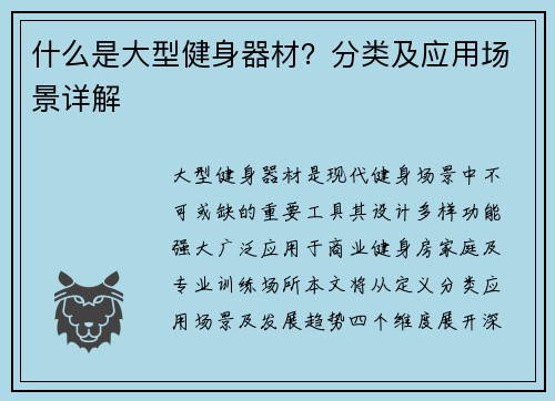 什么是大型健身器材？分类及应用场景详解